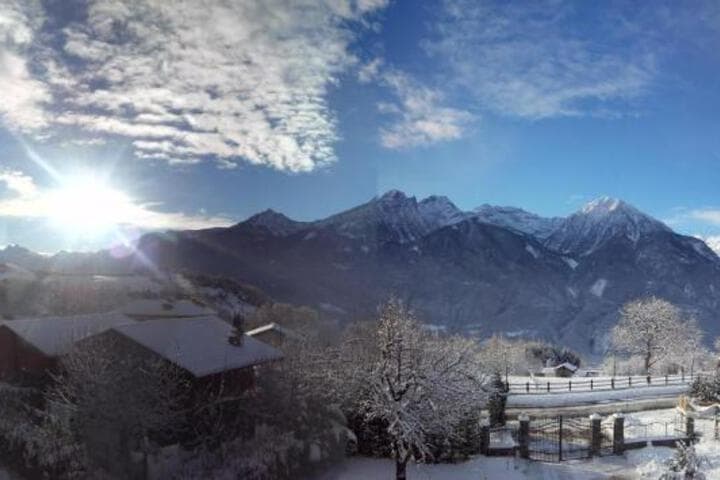 Les Vrais Rayons photo 4