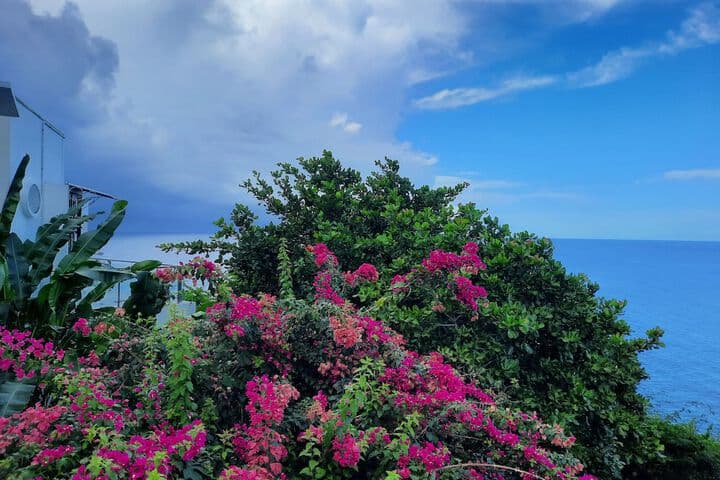Villa Being Tobago Luxury B&B photo 2
