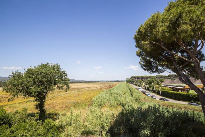 Hu Park Albatros Village photo 5