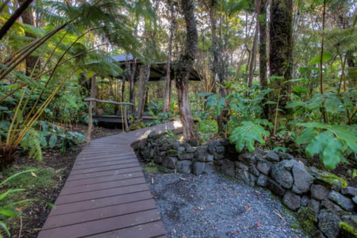 Volcano Mist Cottage photo 5
