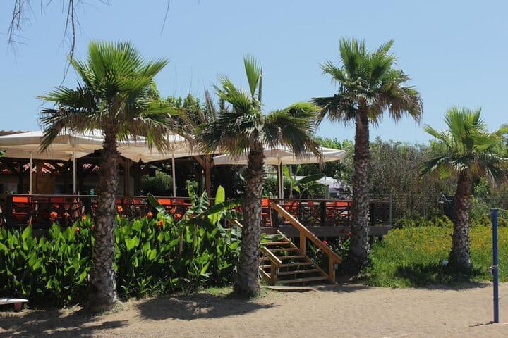 Ionion Beach Apartment Hotel photo 4
