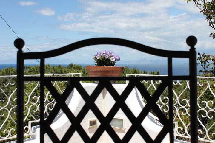 Villa Marinella photo 3