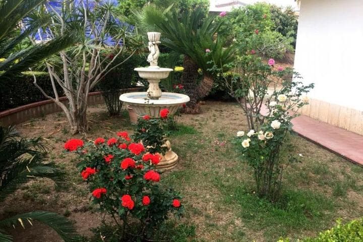 B&B Villa Elena photo 3