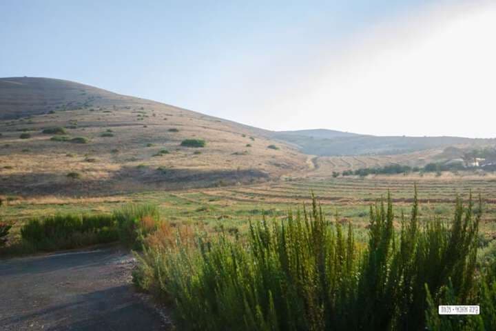 Avigail Guest House photo 2