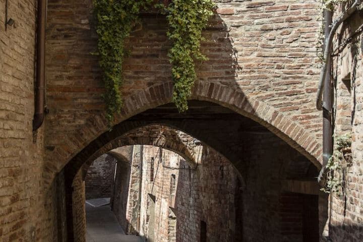 Casina Mazzuoli photo 2