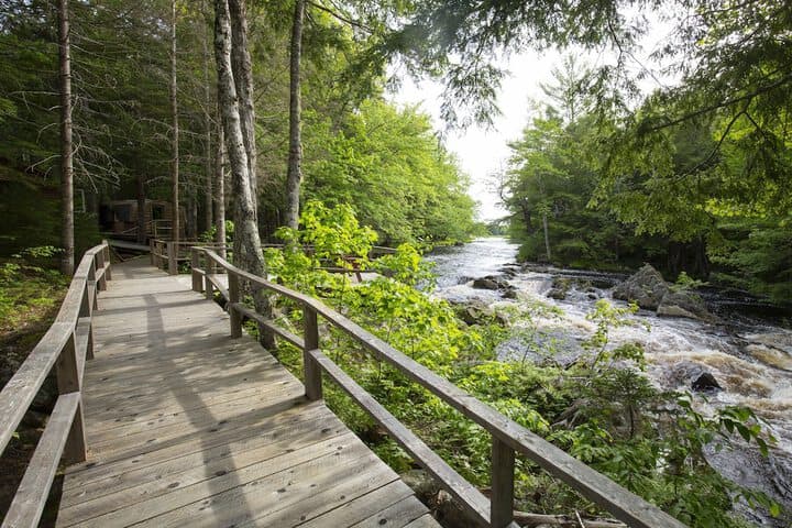 Mersey River Chalets a nature retreat photo 5