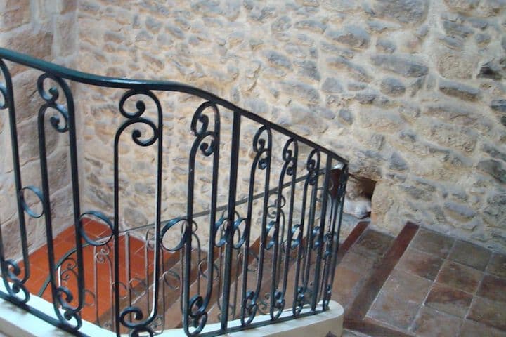 LOrangerie photo 5