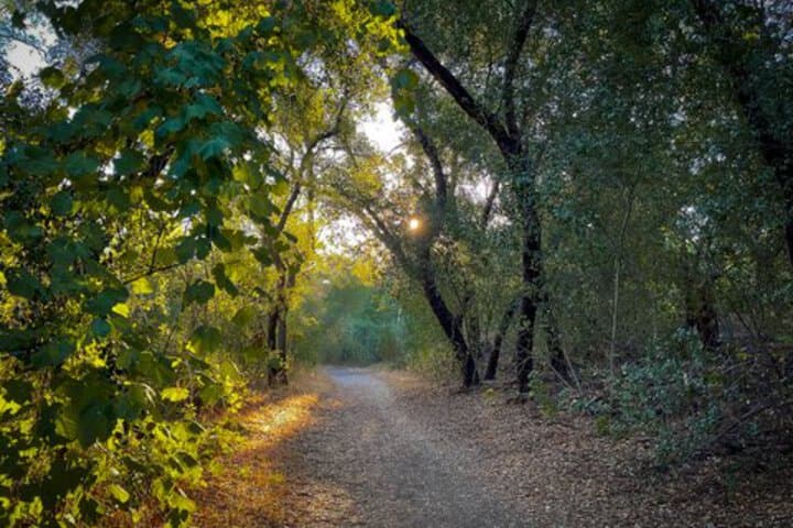 SAN VICENTE LODGE photo 3