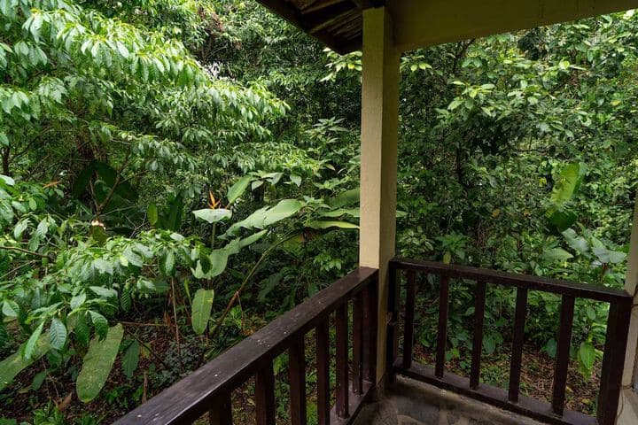 Heliconia Island photo 5