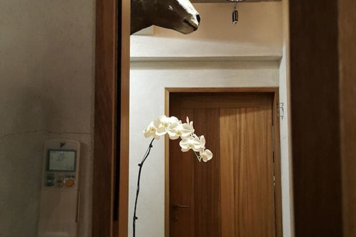 57villa photo 2
