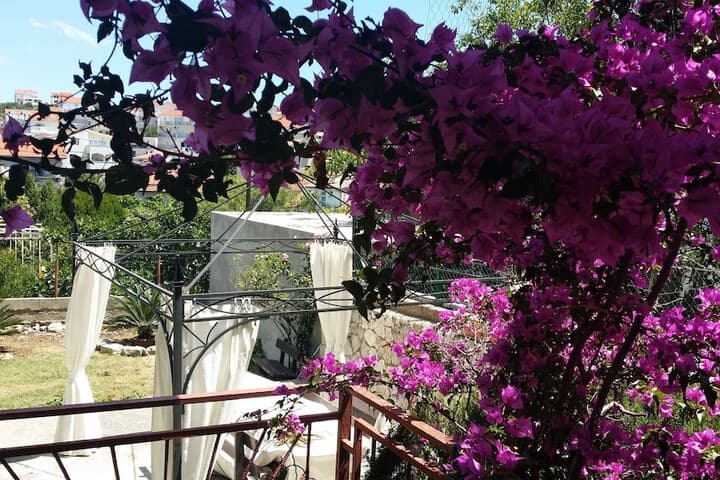 Villa Sandra Hvar photo 4