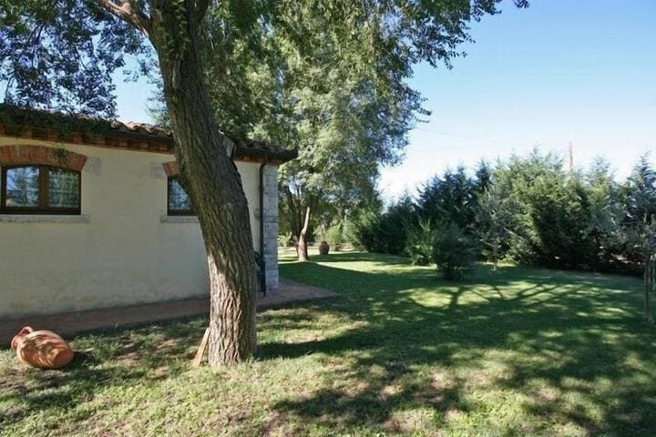 Pienza photo 3