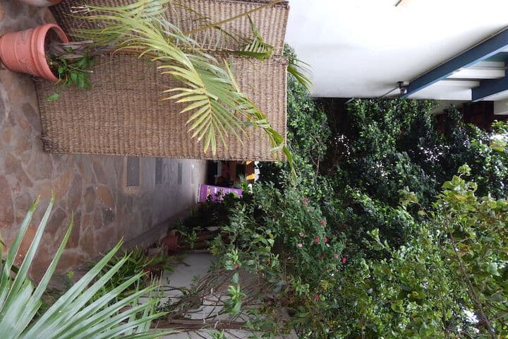 Jacaranda Guesthouse photo 2