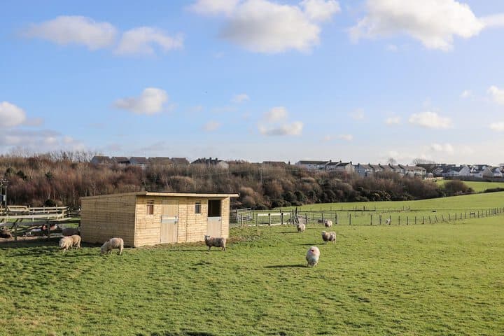 Farm Cottage photo 2