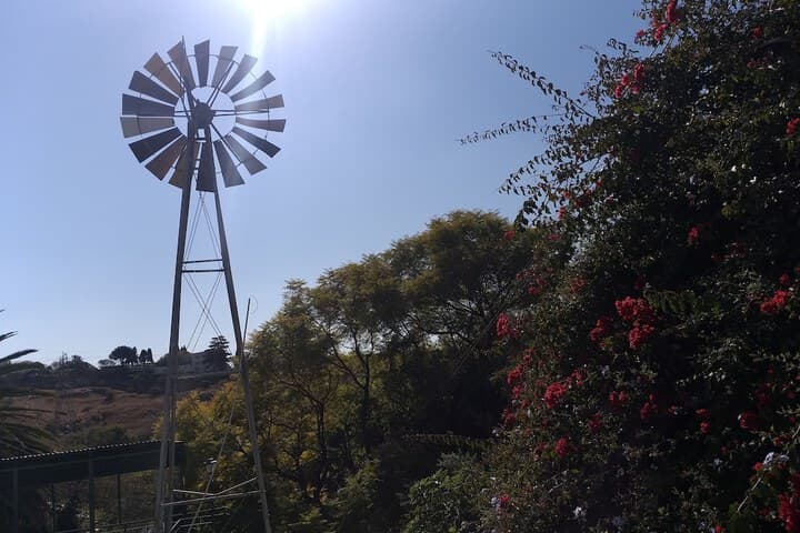 Agterplaas Guesthouse B&B photo 4