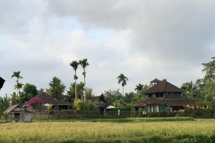 Devis Place photo 3