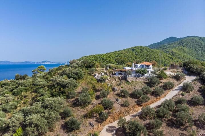 Villa Rose photo 5