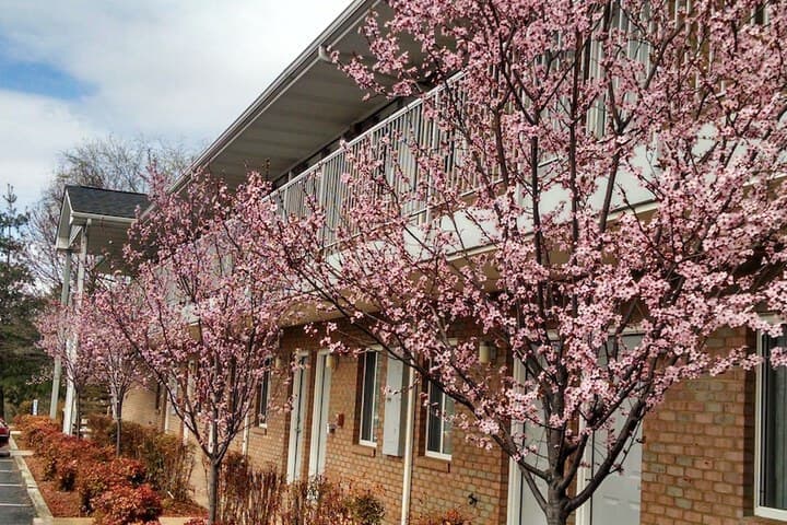 Affordable Corporate Suites Christiansburg photo 3