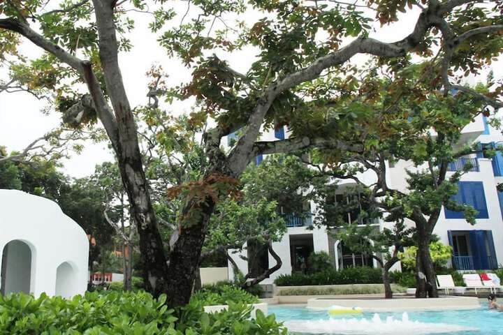 Chelona Khaotao Hua Hin E702 photo 4