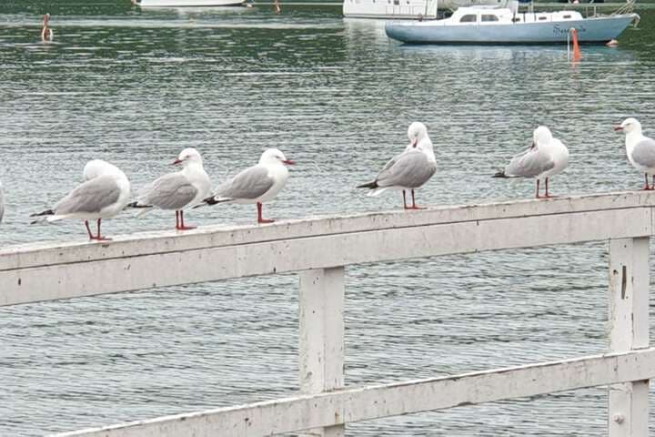 Seaport Village photo 5