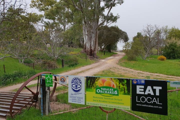 King Tree Forest Reserve destination view