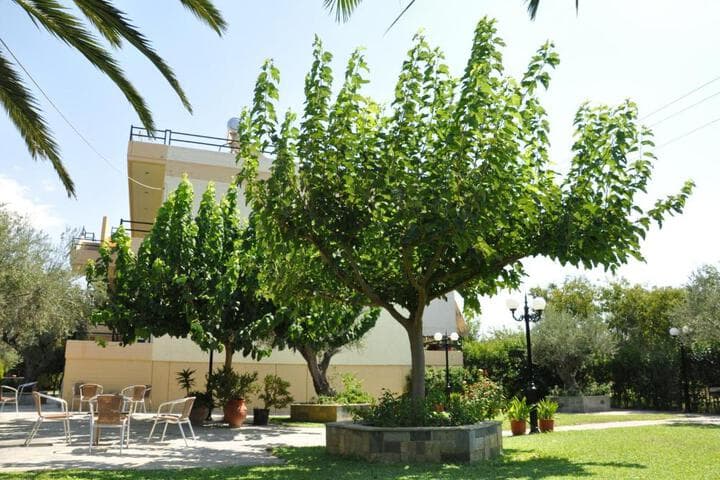 Villa Annilena photo 2