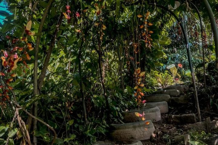 Secret Mountain Paradise photo 1
