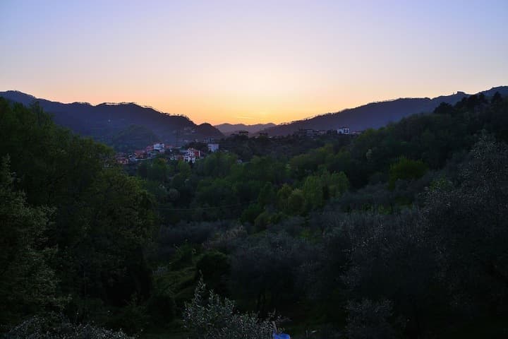 Luce Stellata photo 3