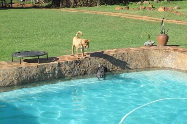 Caracal Lodge photo 3