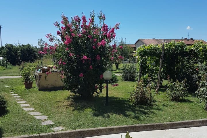 B&B La Crota photo 4