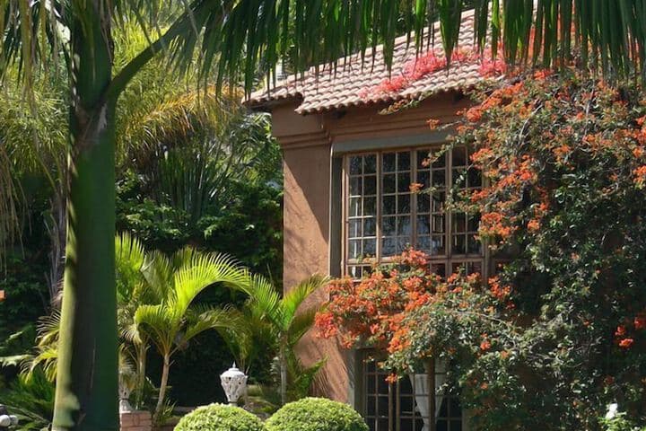 Terra Casa photo 5