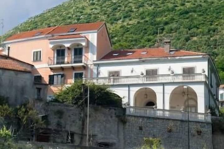 Farfalle E Gabbiani photo 5