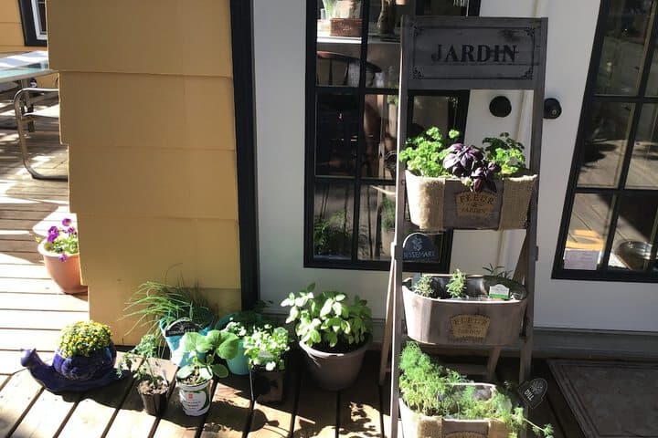 The Stella Rose B&B photo 2
