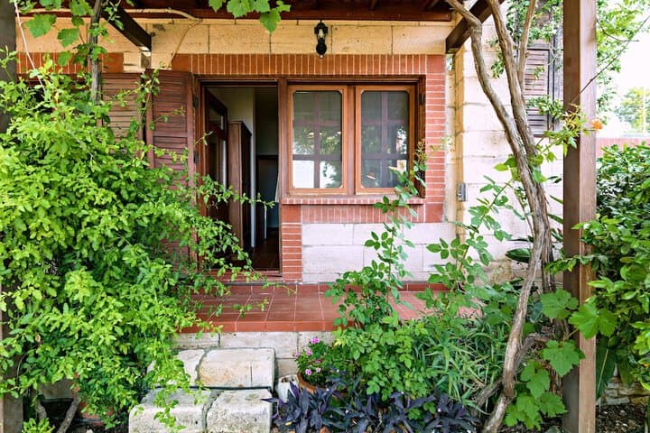 Villa Vino photo 2