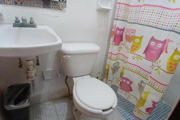 Hotel San Carlos photo 3