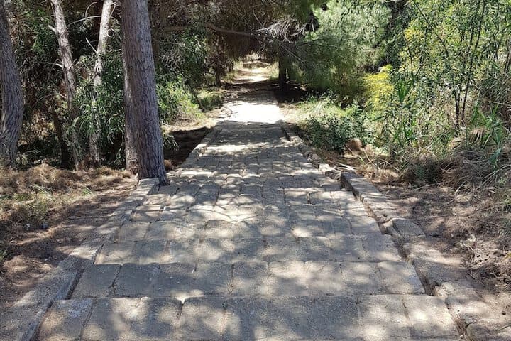 Le Dune Beach photo 3