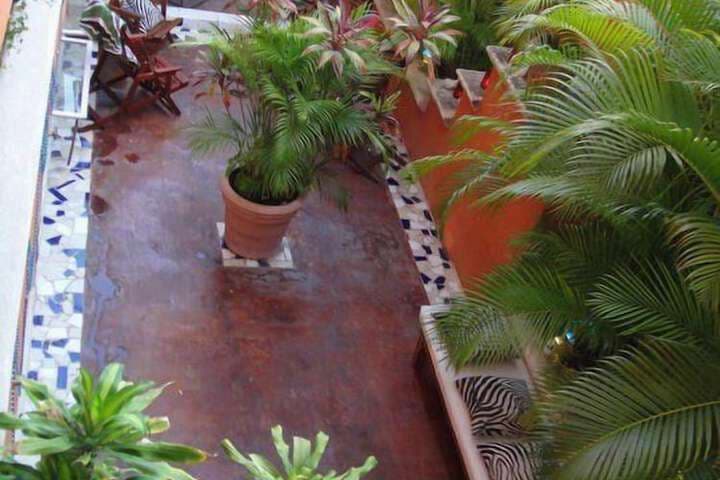 Hostelito Hostal photo 3