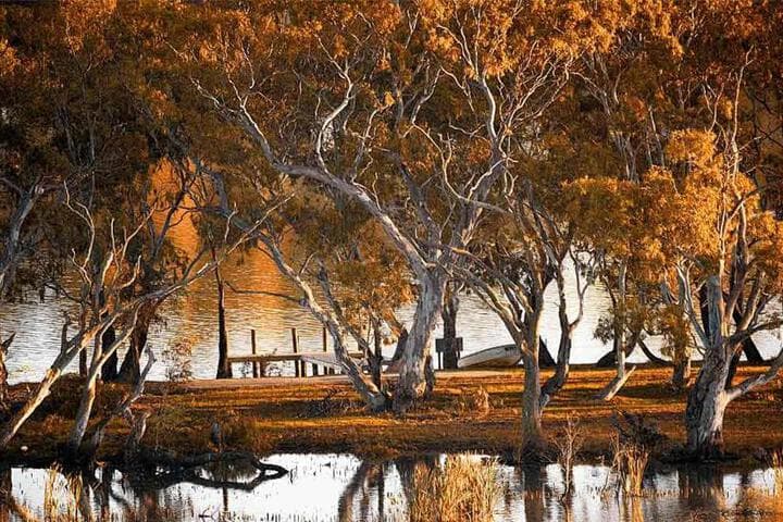 Riverview Rise Retreats photo 3