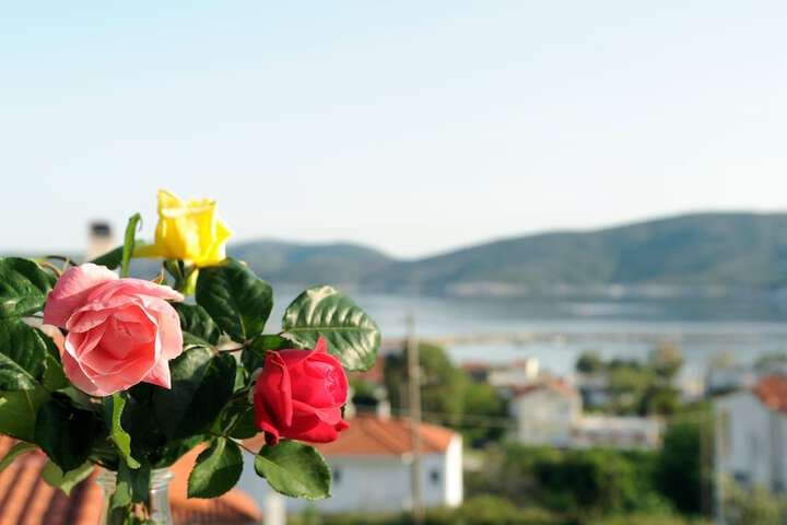 Triantafilia Guesthouse photo 4