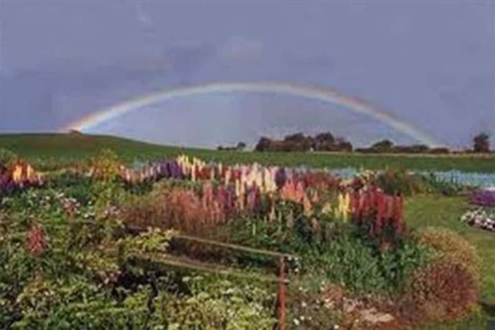 Boat Harbour Garden Cottages photo 2