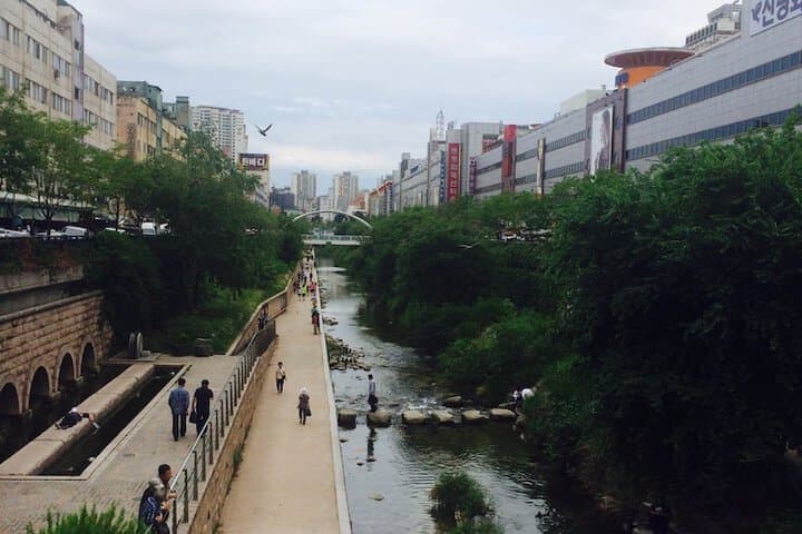24 Guesthouse Dongdaemun Market photo 2