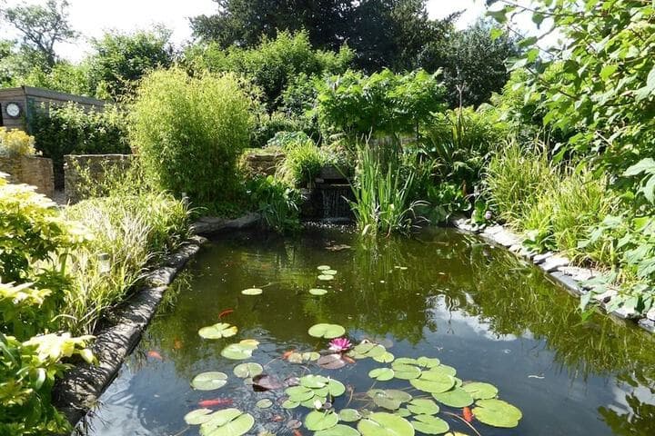 Liongate House photo 2