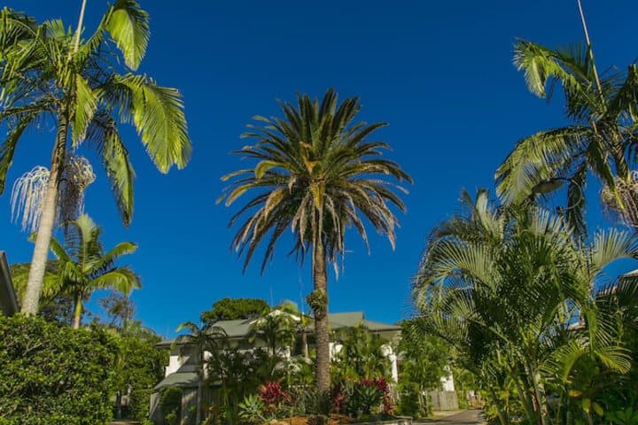 Byron Lakeside Holiday Apartments photo 5