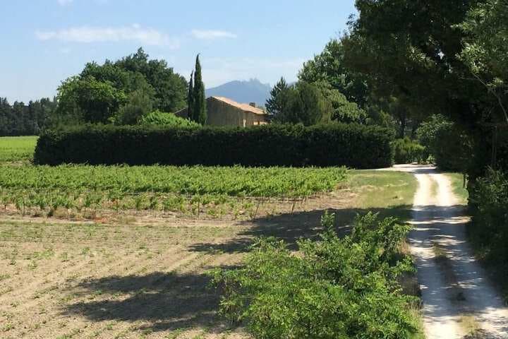 Mas du Clos de lEscarrat photo 2