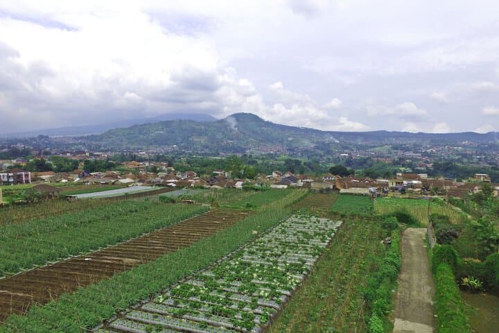 Vila Bunga Merah Gelatik photo 2