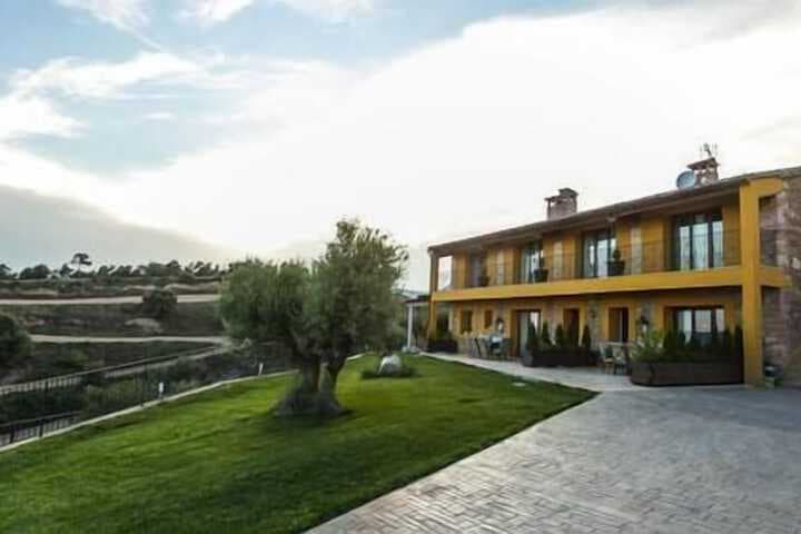 Basella destination view