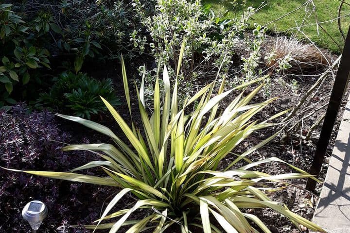Banbury Cross B&B photo 5