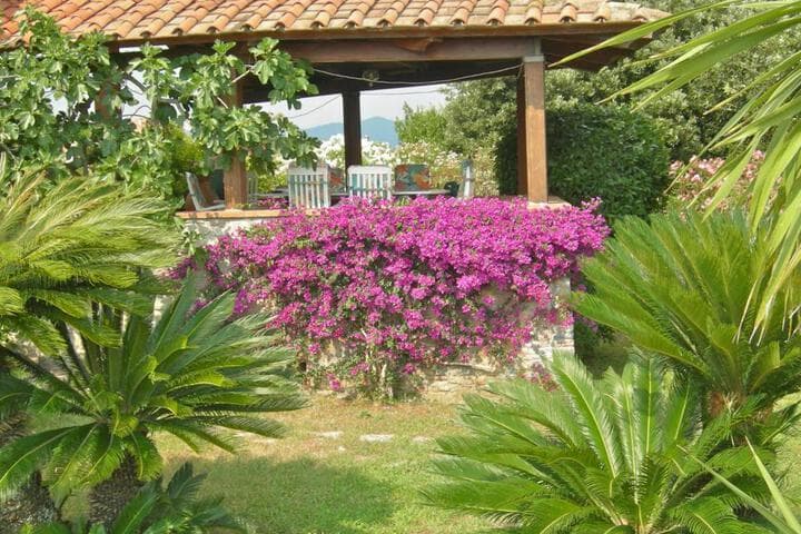 B&B Le Palme photo 2