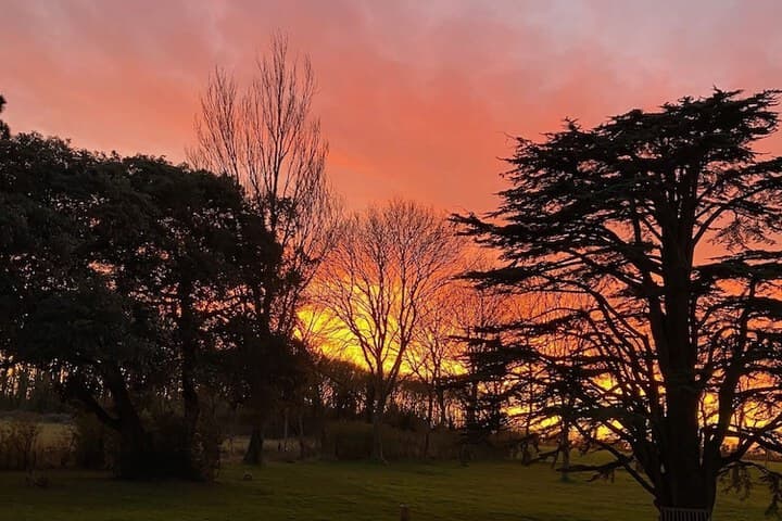 Reymerston Hall photo 2