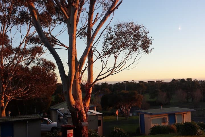 Limestone Coast Tourist Park photo 2